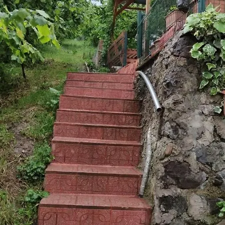 Koey Evi
